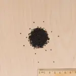 Fleurs - Œillet de Poète Tapis des Indes - MEDIA_3D